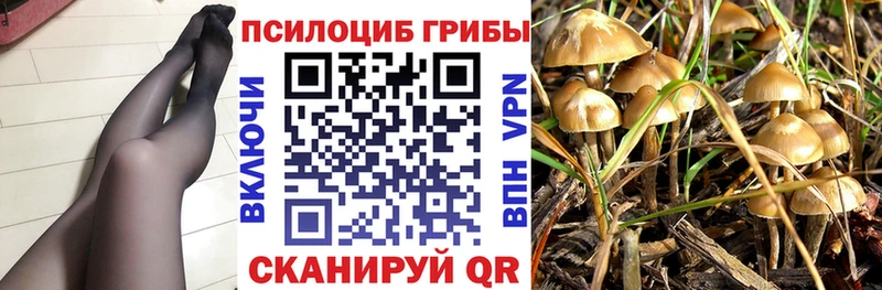 Псилоцибиновые грибы ЛСД  где найти наркотики  Южа 